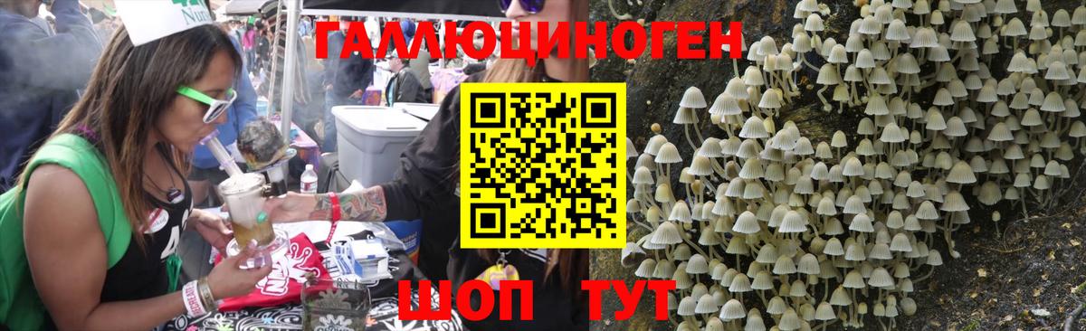 Галлюциногенные грибы Psilocybe Иркутск