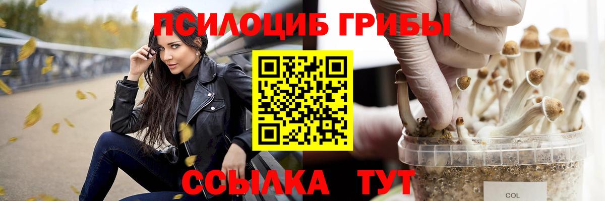 Псилоцибиновые грибы мухоморы  Вход с VPN  Иркутск  Псилоцибиновые грибы мицелий 